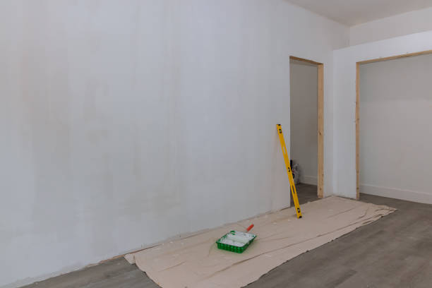 Best Comprehensive Air Testing for Mold Contaminants  in Laughlin, NV