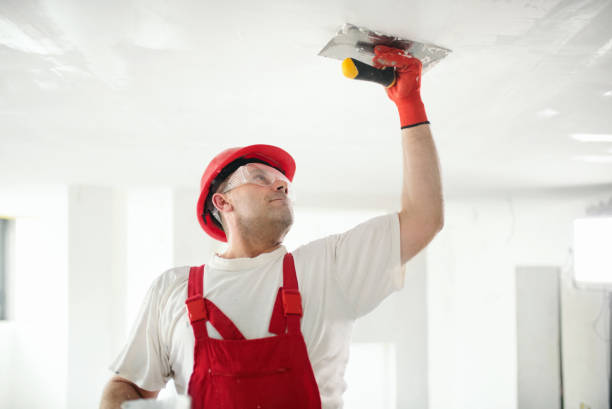 Best Industrial Mold Remediation  in Laughlin, NV